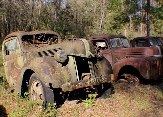 Roadside Rusted Ford Trucks